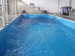 Survival Traing Pools